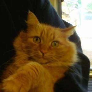 Meet your Posher, Sue